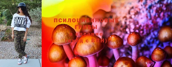 дурь Пересвет